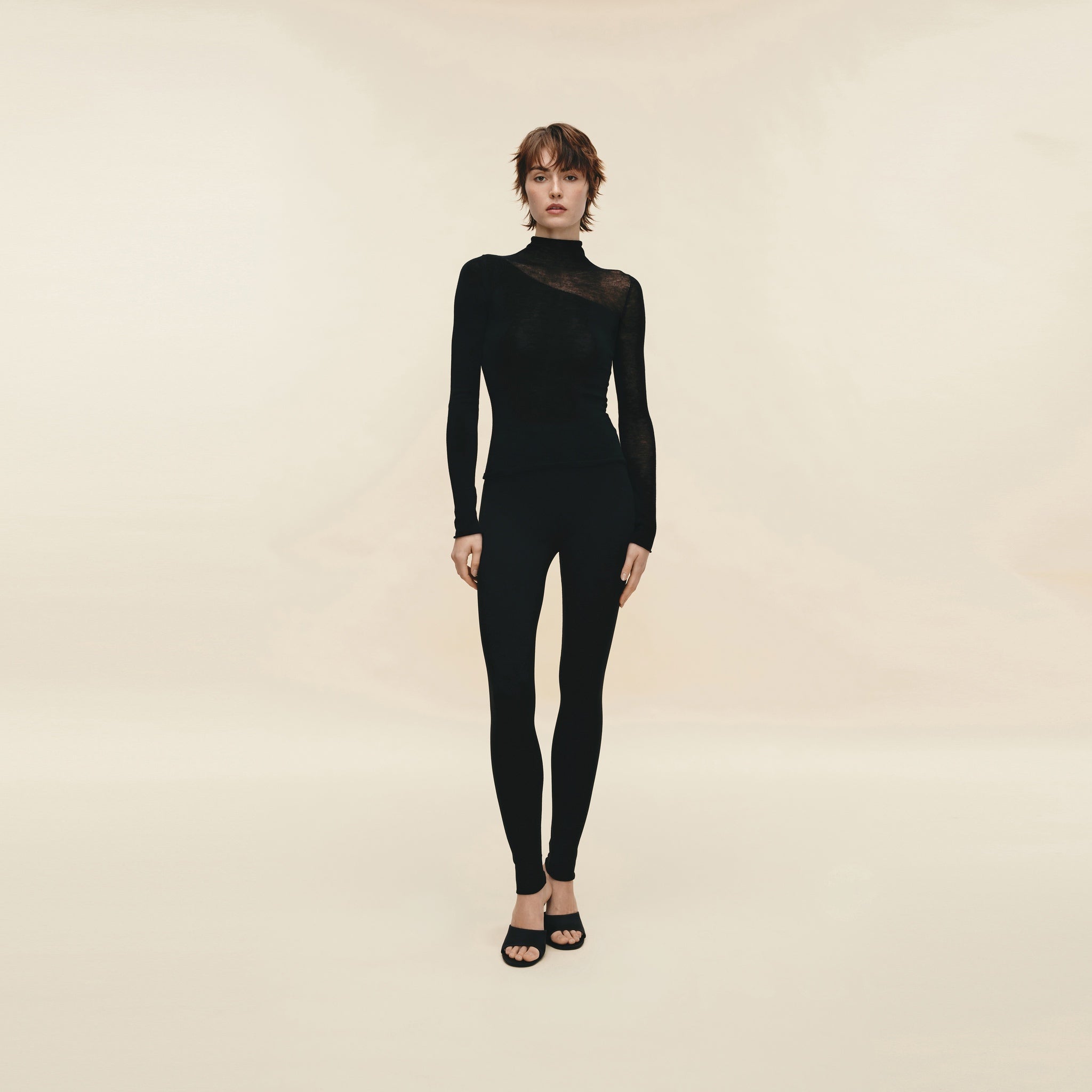 Water-soluble Wool Sheer Turtleneck,Classic Black