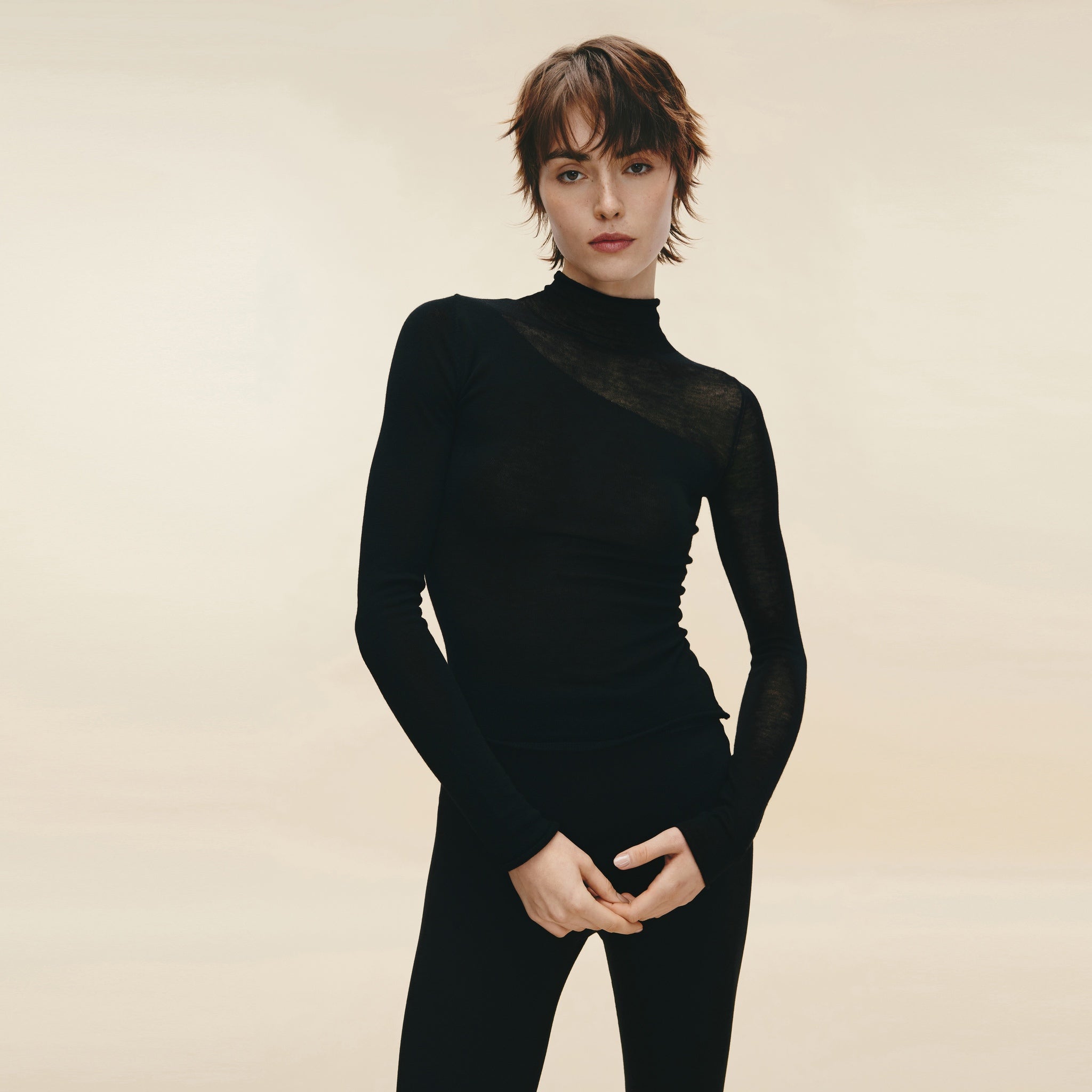 Water-soluble Wool Sheer Turtleneck,Classic Black