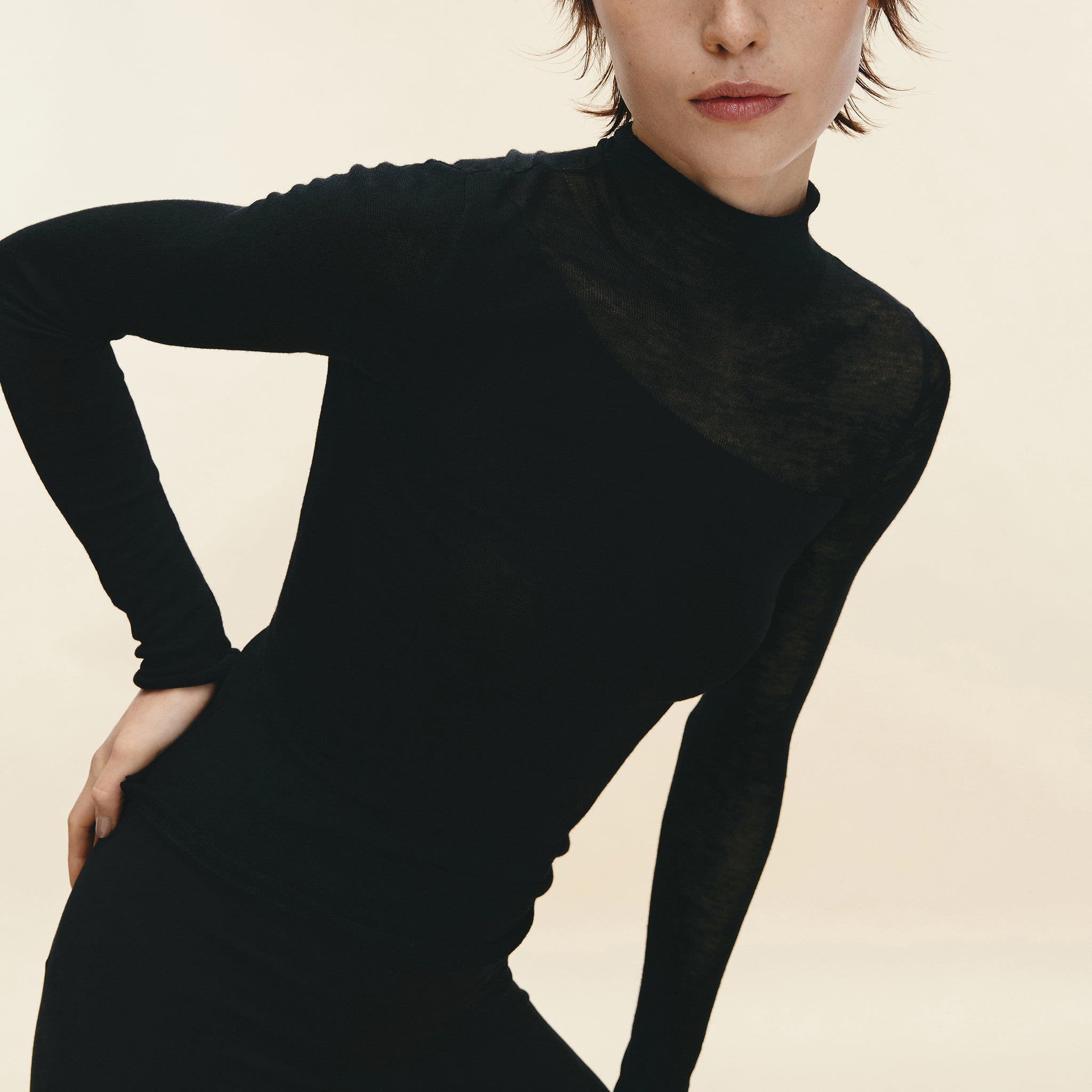Water-soluble Wool Sheer Turtleneck,Classic Black